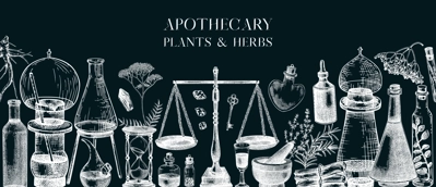 Antique apothecary banner. Medicinal herbs background. Hand-drawn vector illustrations. Alchemy glassware sketches on chalkboard. NOT AI generated